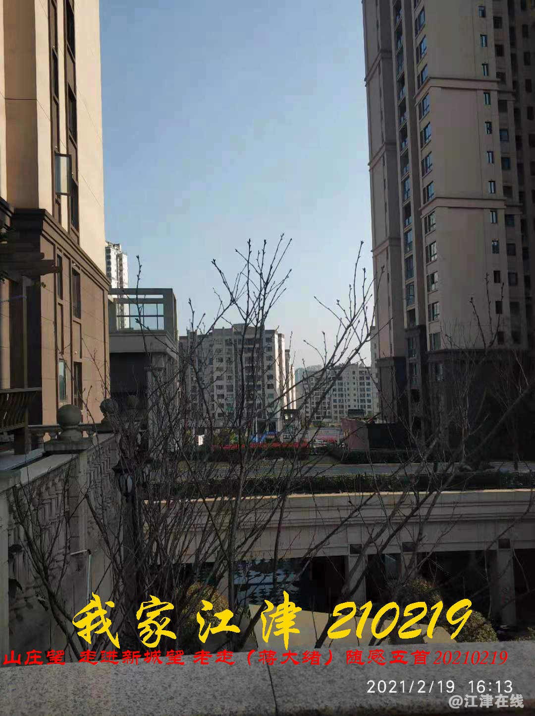 JYZ 20210219.2.1 WBQ (25).jpg