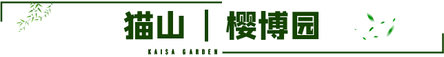 12.png