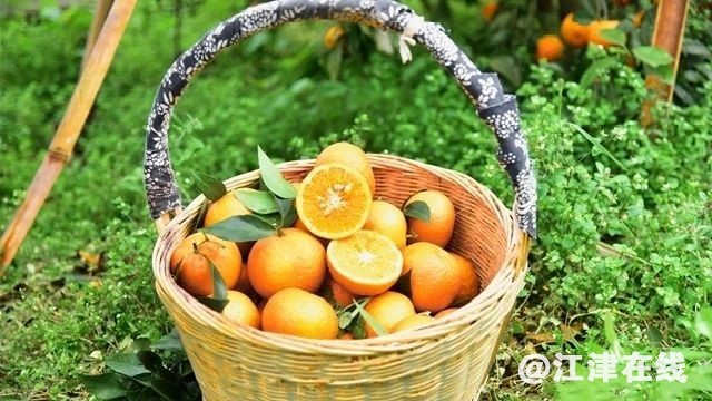 abd58c1b840bb36d14c4d78d9798ece9.jpg