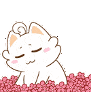 093aaa8075f394ea1b713dd8cf4f32c4.gif