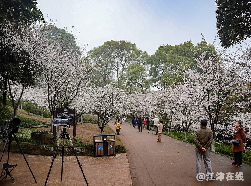 植物园 (12).jpg
