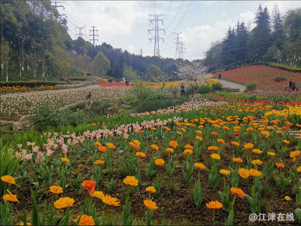 QQ截图20210316222051.jpg