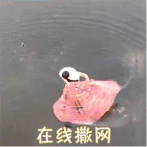 75be07a5c7abf6941a3b7ee2e765ebbc.gif