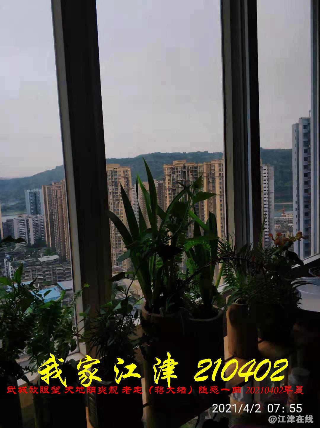 JYZ 20210402 WBQ (26).jpg