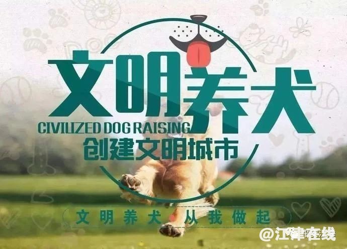 2b19050090cb55887306bb2d10799855.jpg