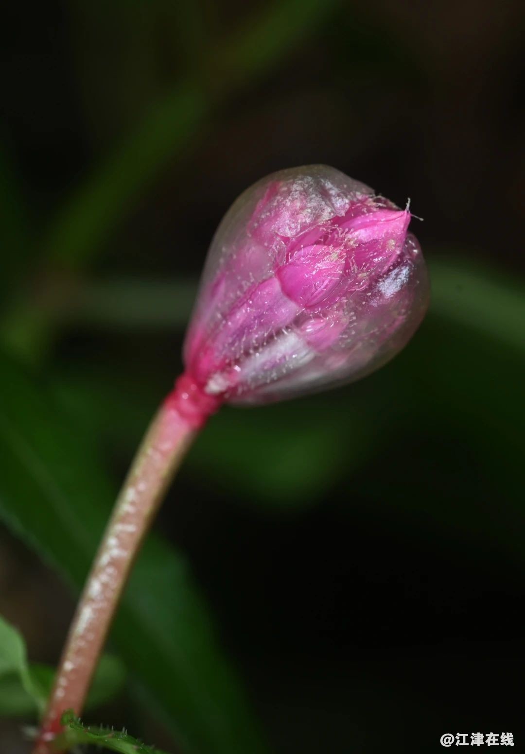 10eab2682189e501e3b2e49f5d0edc60.jpg