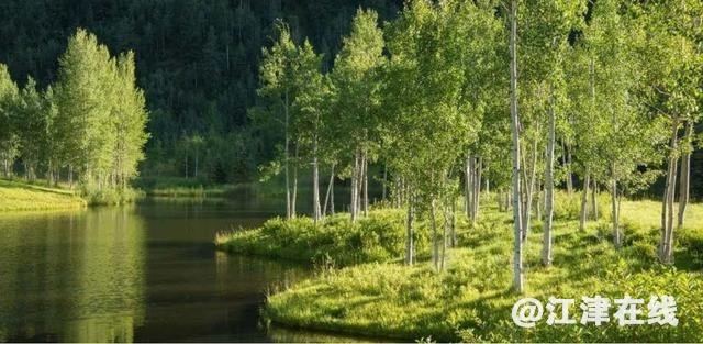 ?url=http%3A%2F%2Fdingyue.ws.126.net%2F2021%2F0408%2F1b0978a5j00qr7sgm001fc000hs008pc.jpg