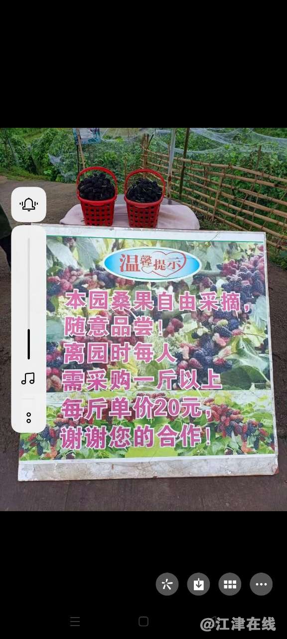 front2_0_Fu97zIQi-kr24ok1qxy5Ou378Bx9.1618041459.jpg