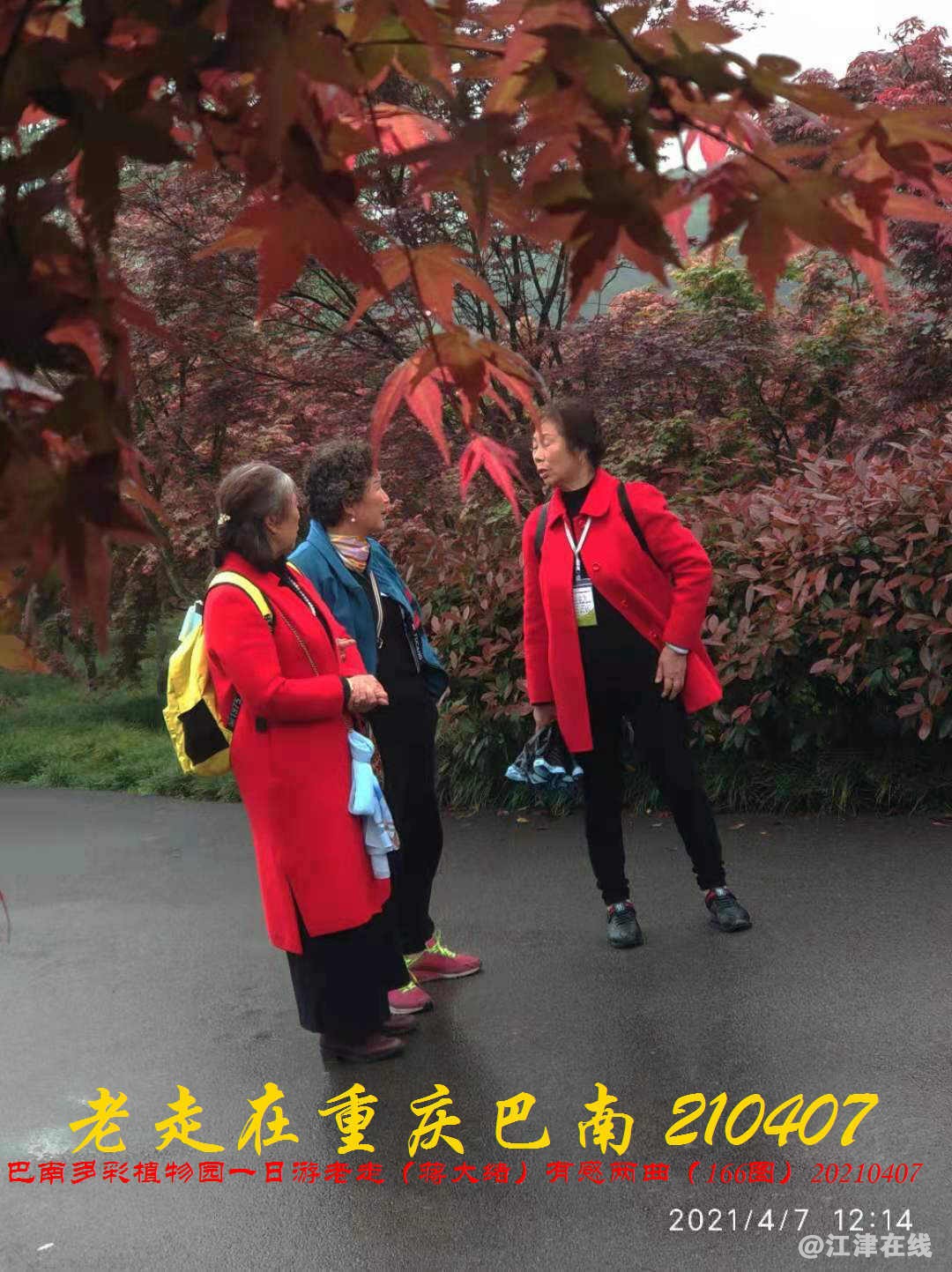 JYZ  20210407 WBQ (148).jpg