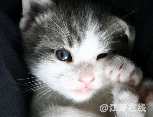 20120818024849865.jpg