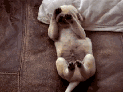 d6d3237166bf25af6ece67816519d094.gif