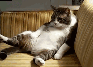 d189bd695fa91fa4041188c2af686311.gif