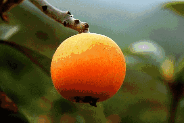 21ce39f9c02e1ca8bf212e82e5eea5cc.gif