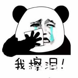 491b992af3d091583364cd4c05dce987.png