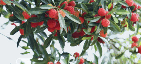 7c0d0898843b00f449ca257d95b7055a.gif