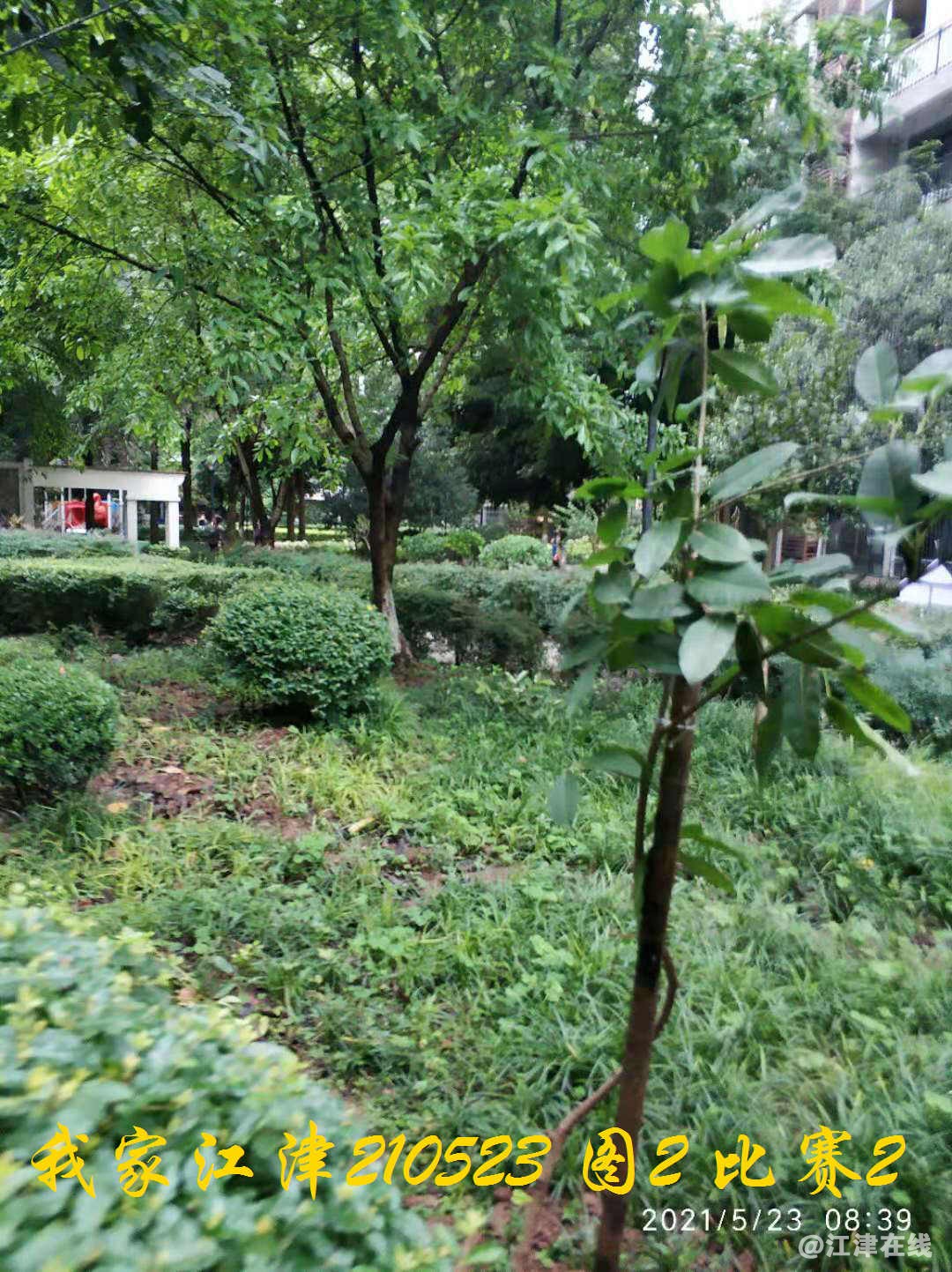 JYZ 20210523 WB2 (40).jpg