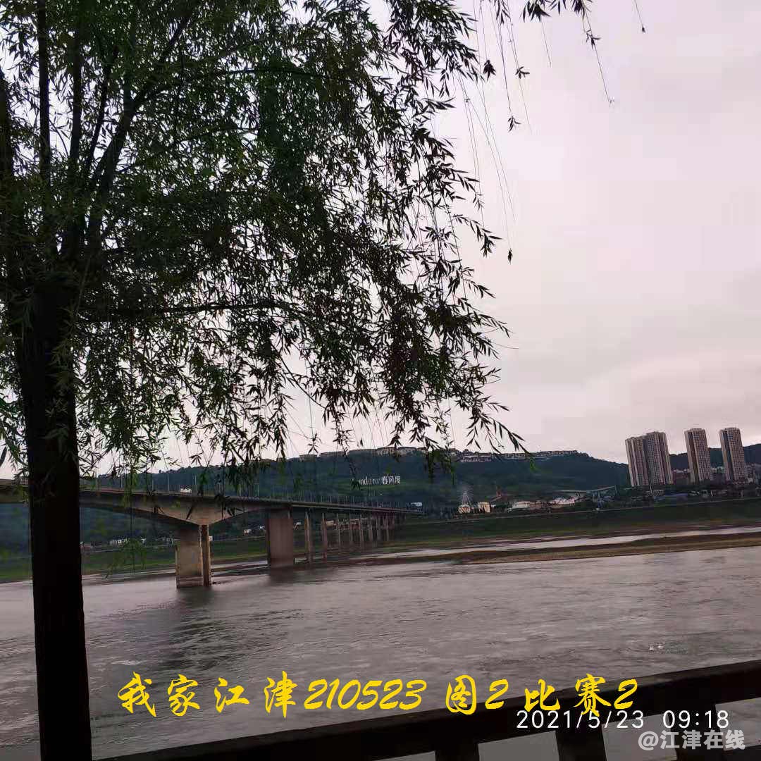 JYZ 20210523 WB2 (42).jpg
