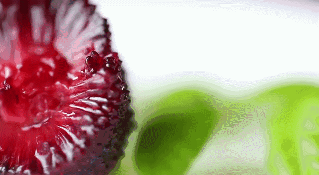 1667f09bc29309ce1a4ba9209688c0dc.gif