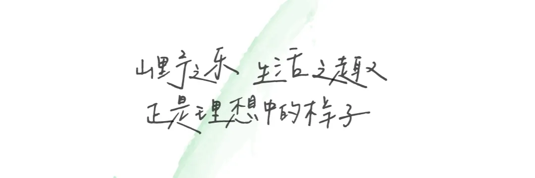 16230544415596920191.jpg
