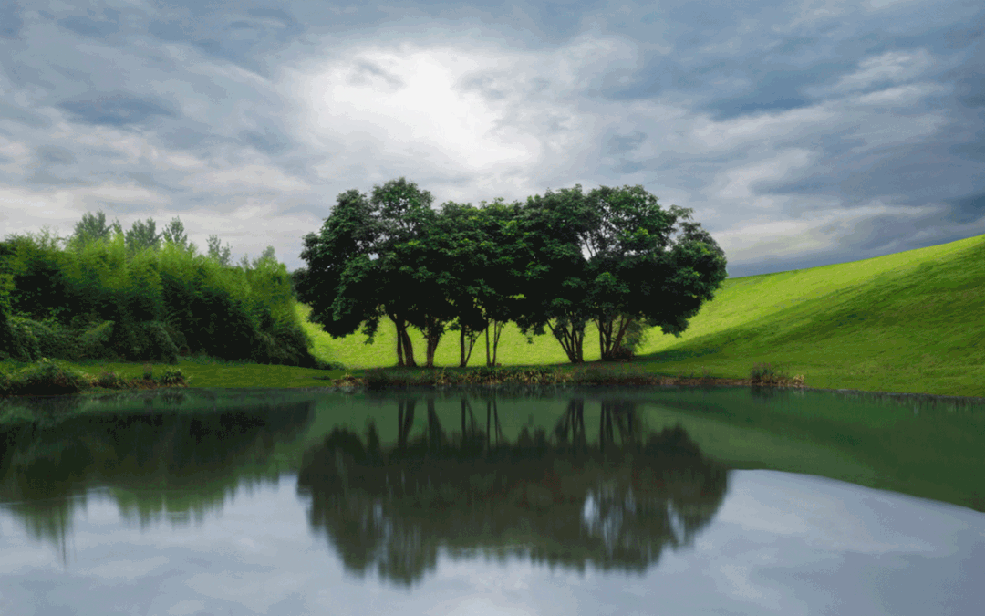 6eb90c24e691a92112f4e782a291ade4.gif
