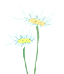 1d5e4f58f2eef9ce87cd4d5d00e0c6a5.png