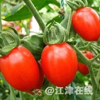 e9707a3d26df3eae84caa62ea371d081.jpg