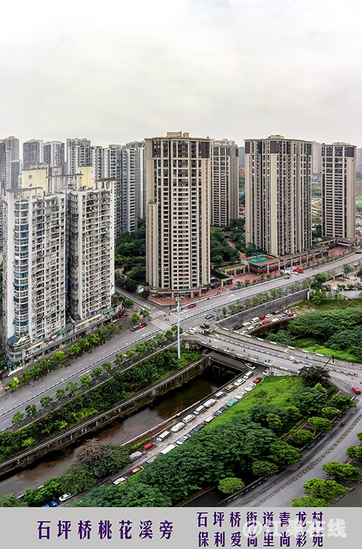 彩虹路旁 (2).jpg