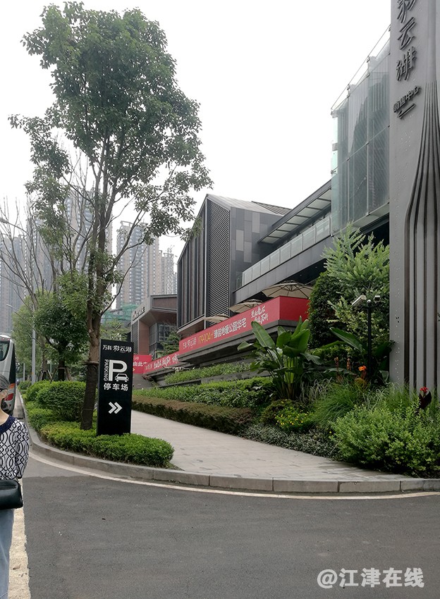 彩虹路旁 (10).jpg