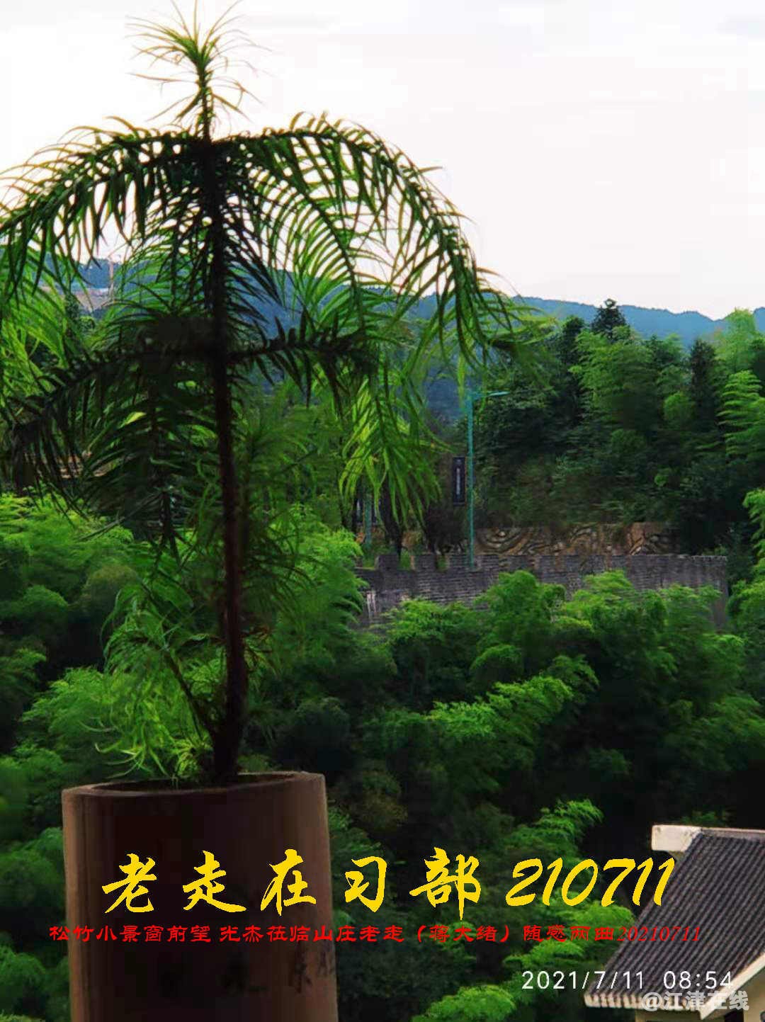 JYZ 20210711 WBQ (56).jpg