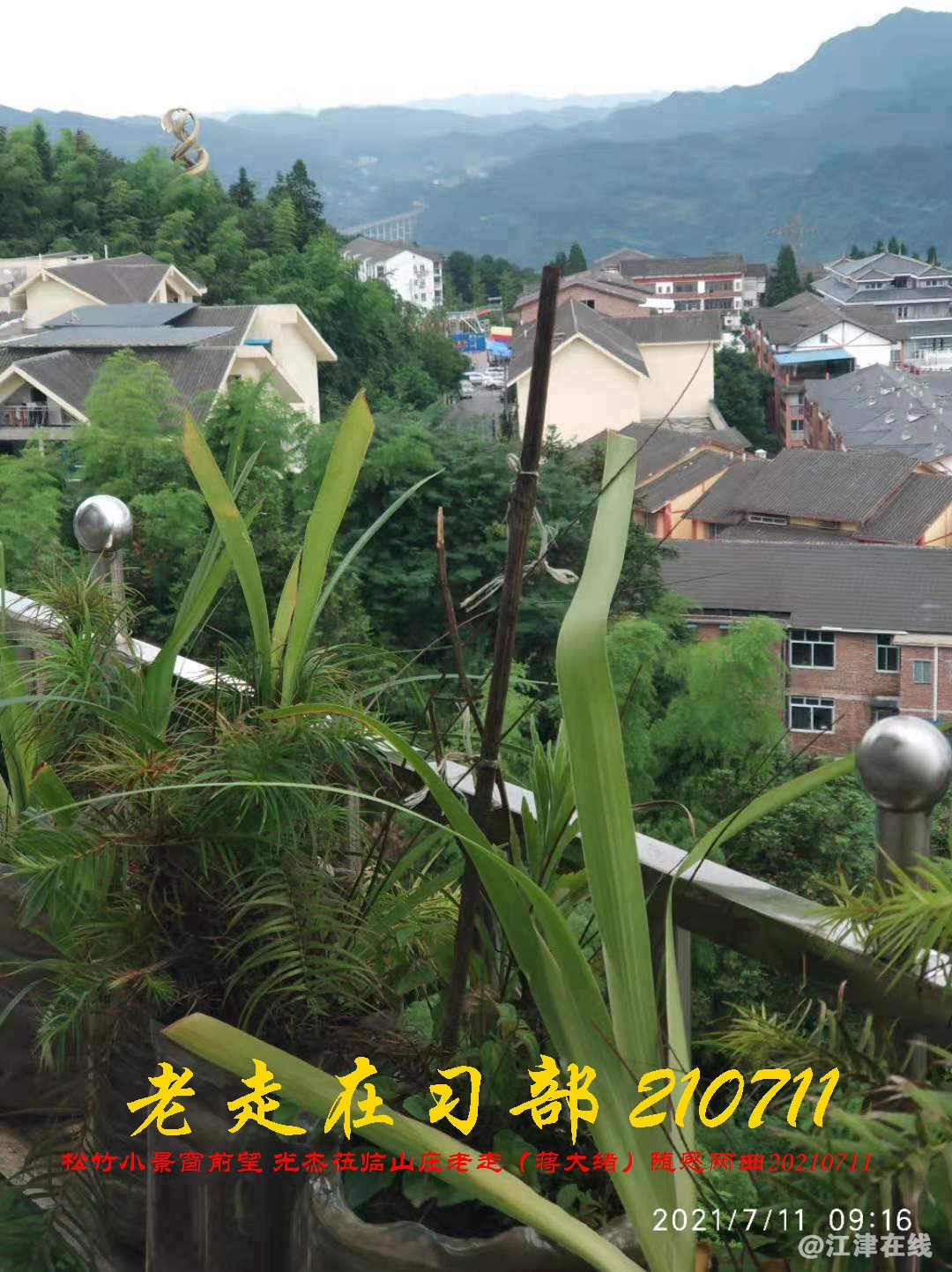 JYZ 20210711 WBQ (100).jpg