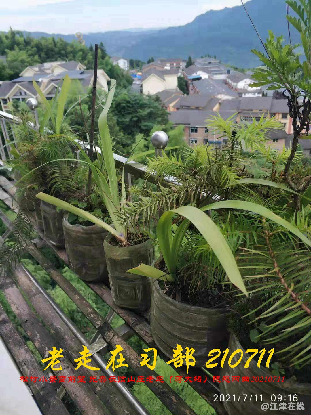 JYZ 20210711 WBQ (99).jpg