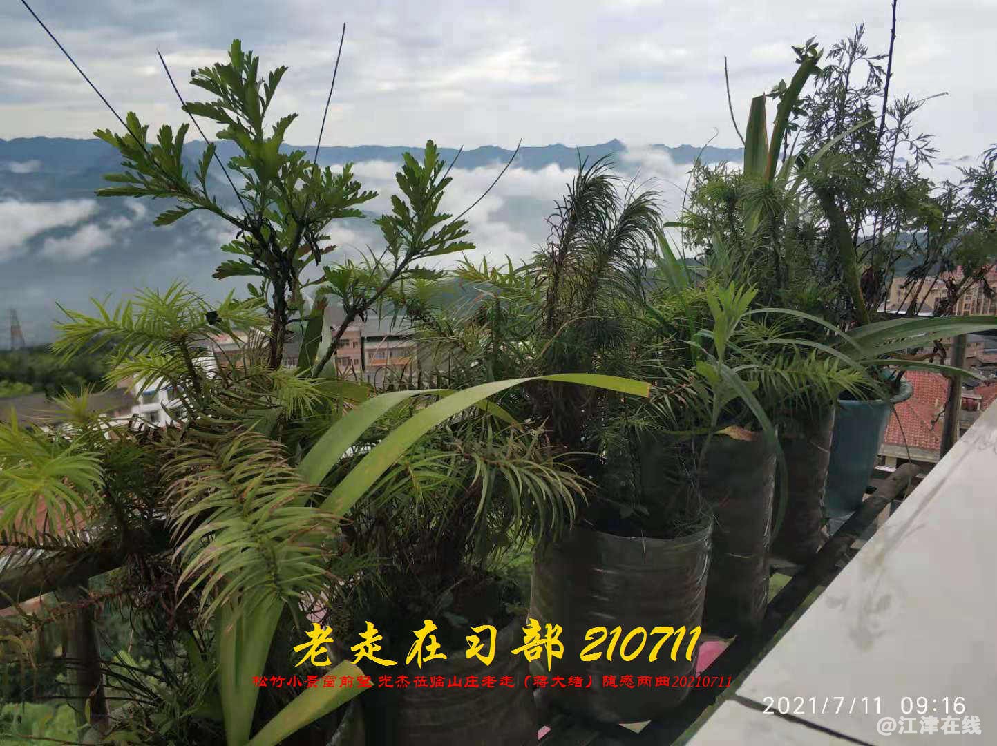 JYZ 20210711 WBQ (102).jpg