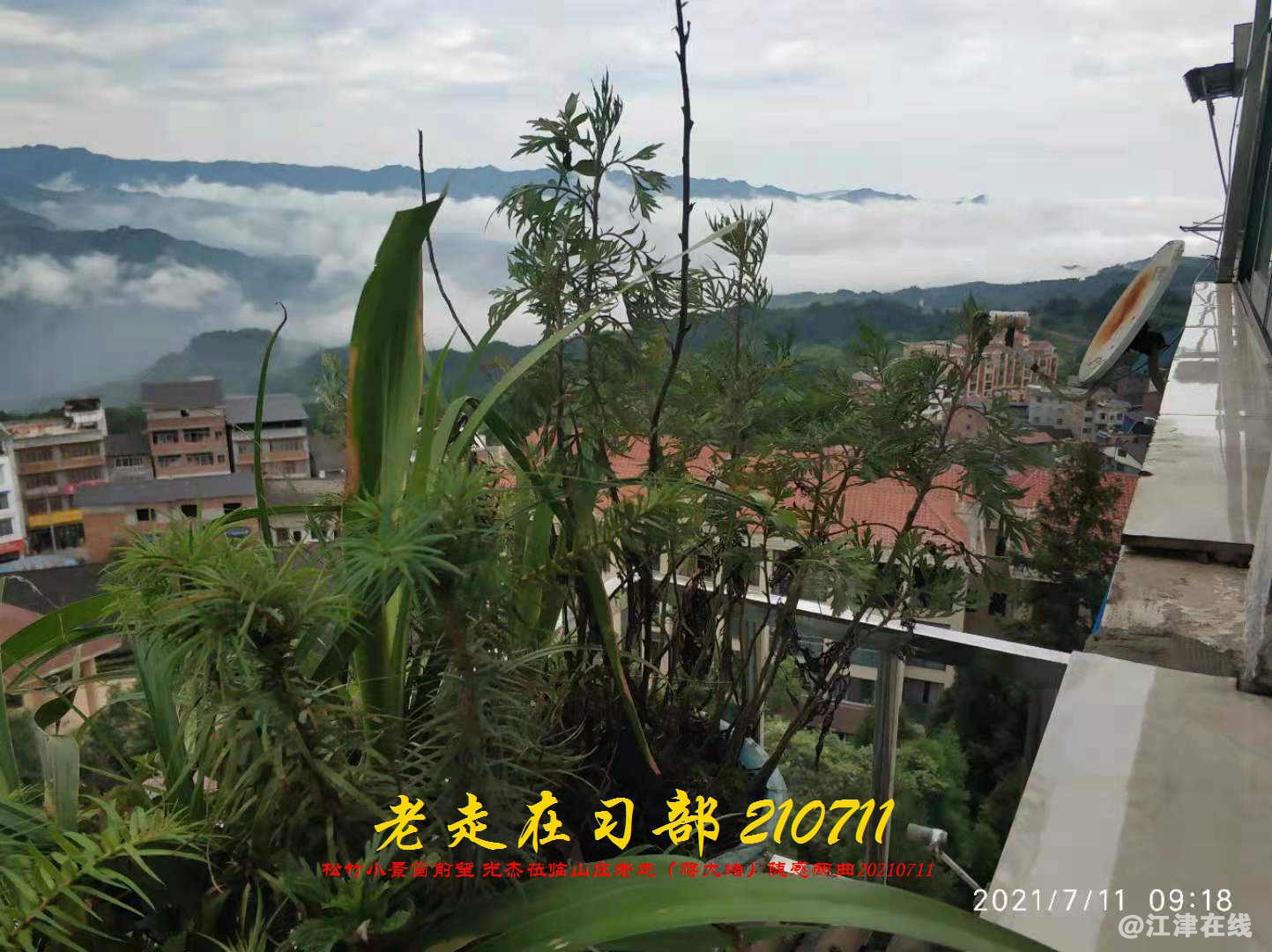 JYZ 20210711 WBQ (111).jpg