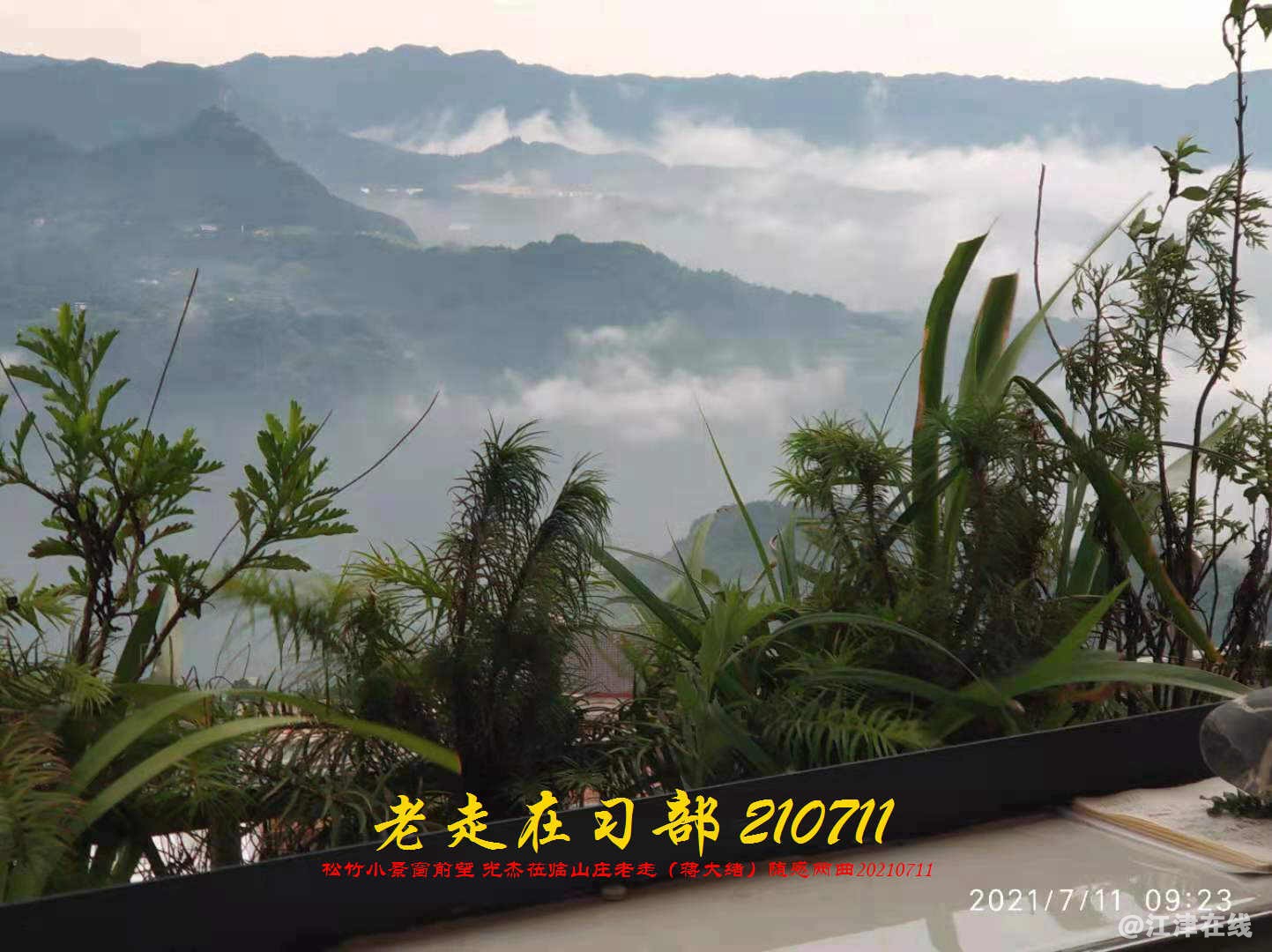 JYZ 20210711 WBQ (132).jpg