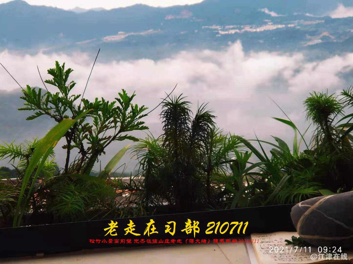 JYZ 20210711 WBQ (137).jpg