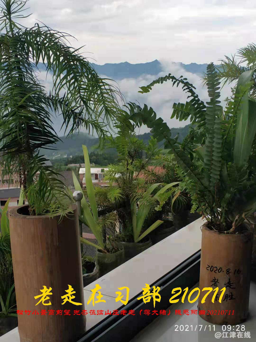 JYZ 20210711 WBQ (139).jpg