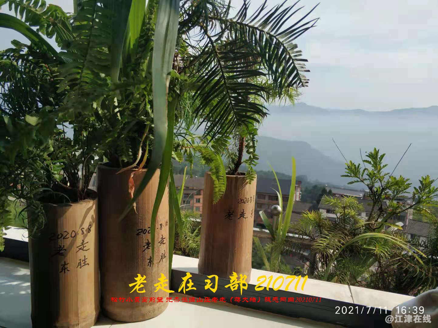 JYZ 20210711 WBQ (151).jpg