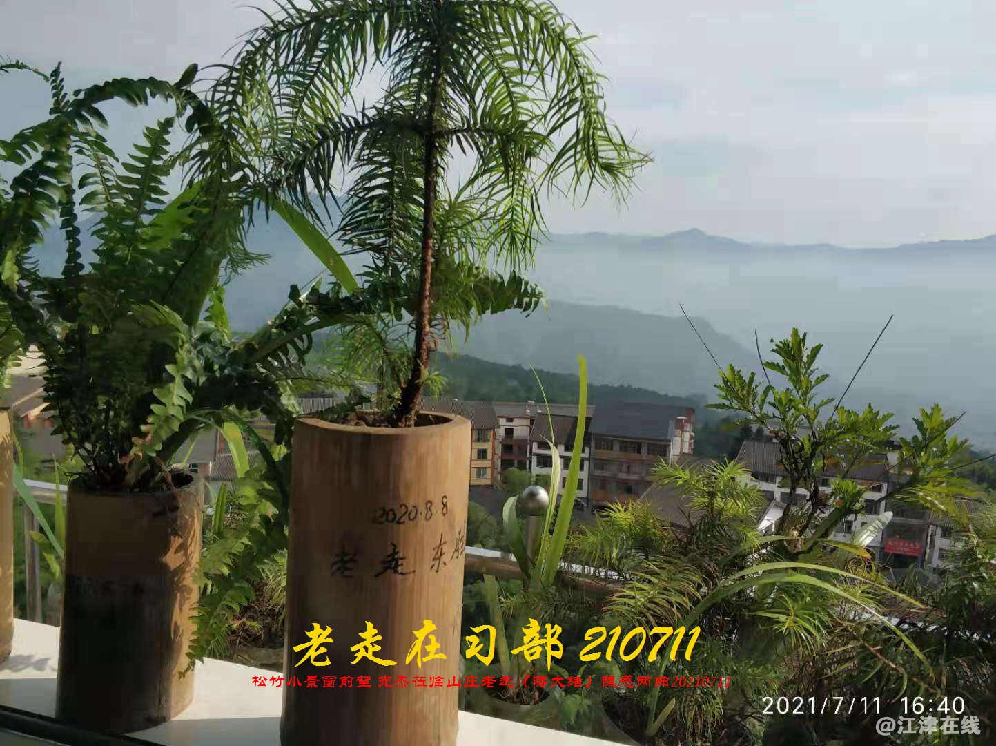 JYZ 20210711 WBQ (153).jpg