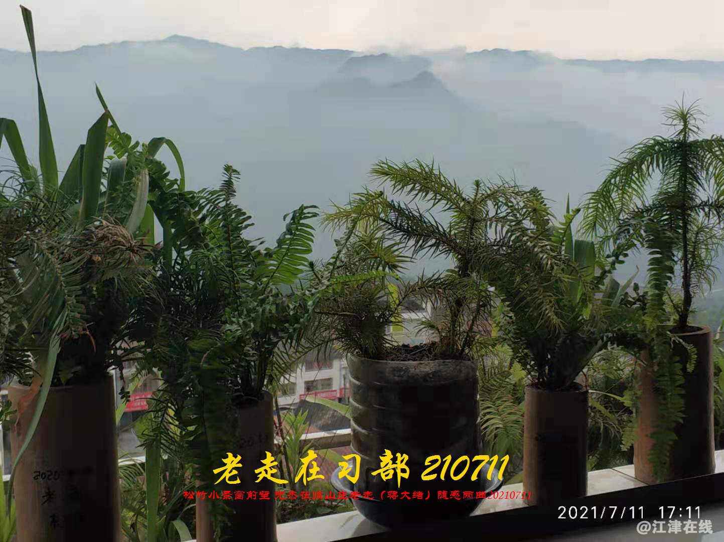 JYZ 20210711 WBQ (157).jpg