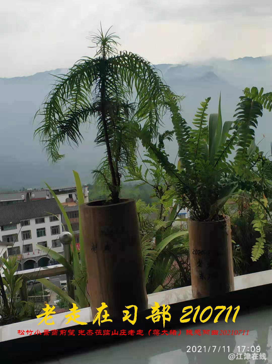 JYZ 20210711 WBQ (156).jpg