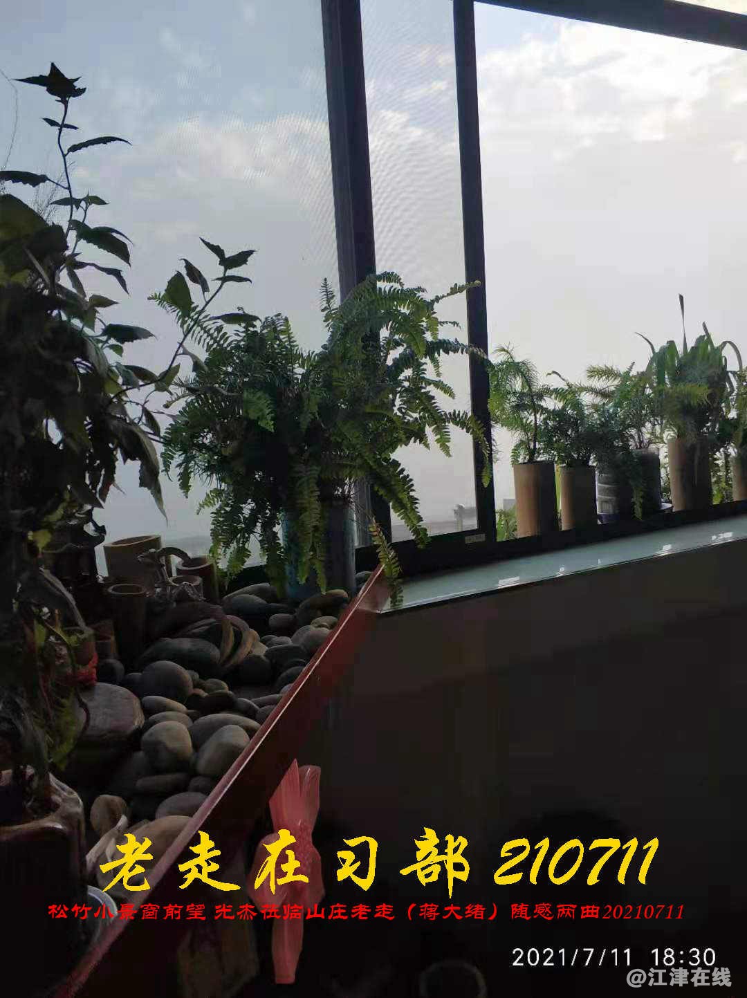 JYZ 20210711 WBQ (159).jpg