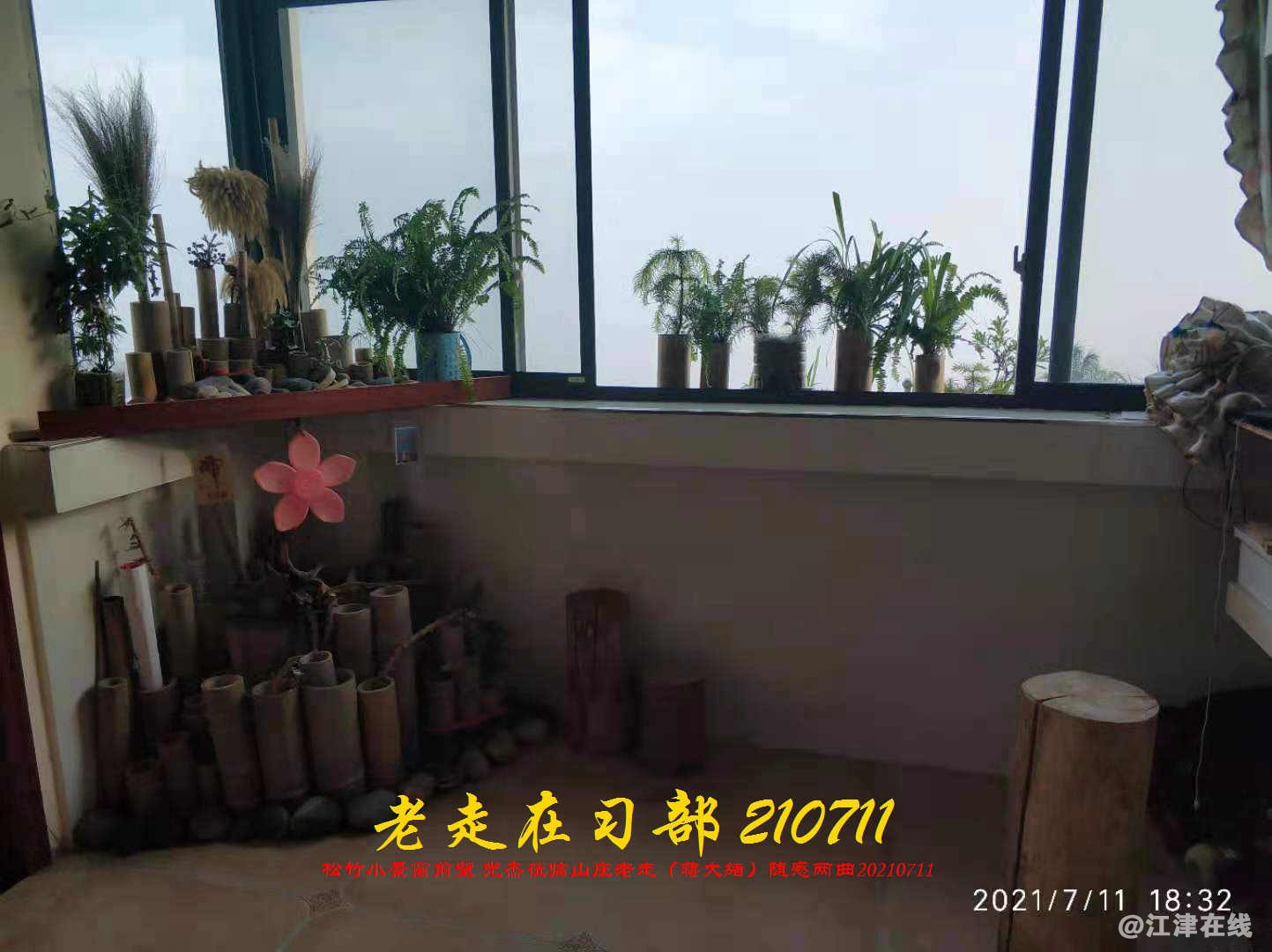 JYZ 20210711 WBQ (160).jpg