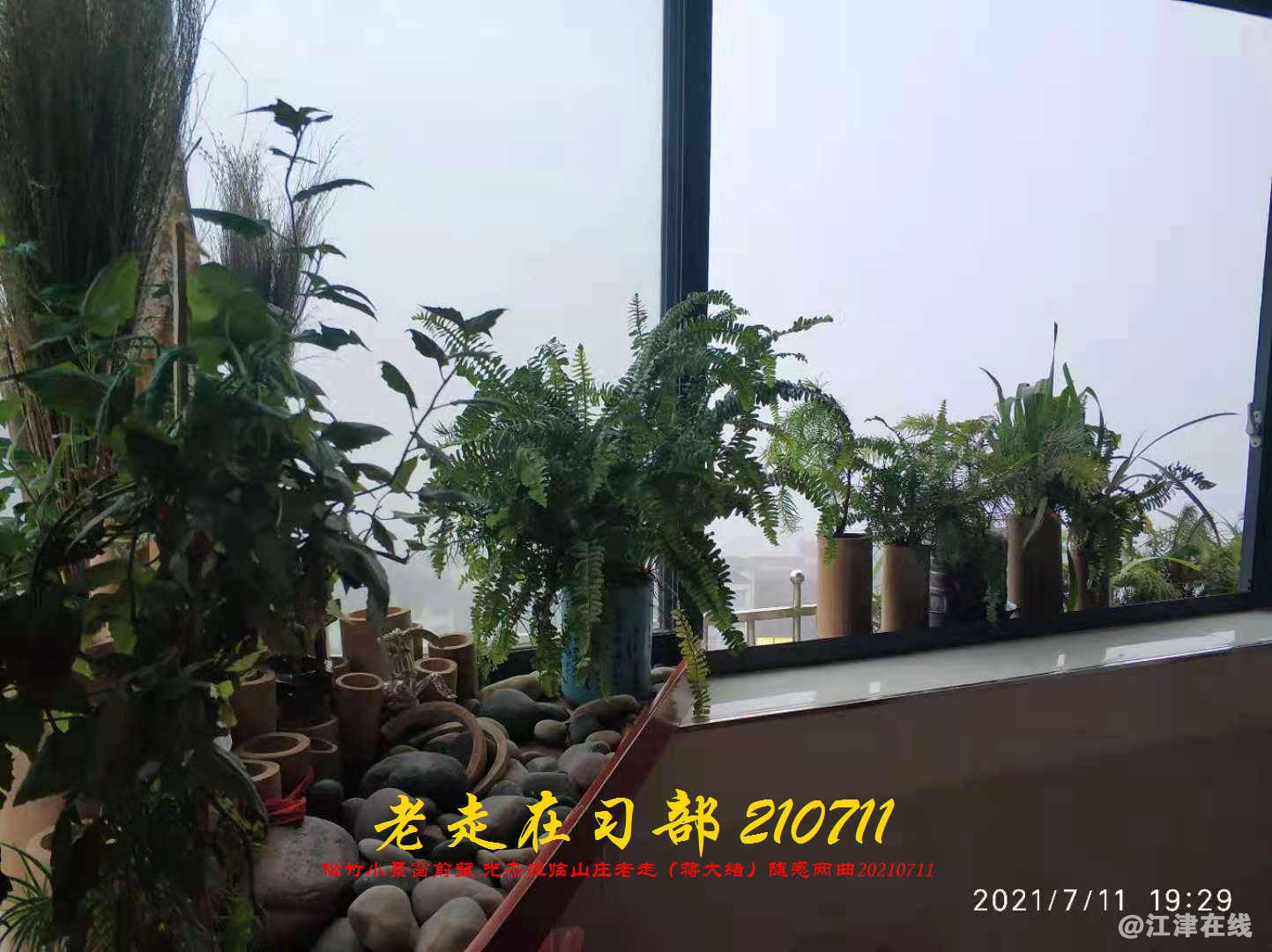 JYZ 20210711 WBQ (170).jpg