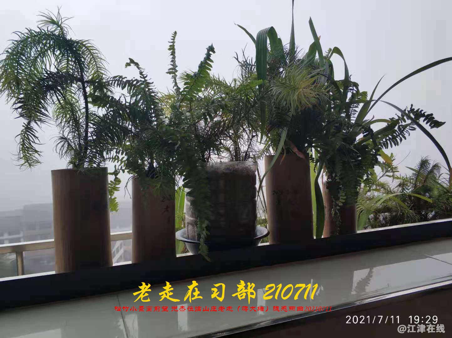 JYZ 20210711 WBQ (172).jpg