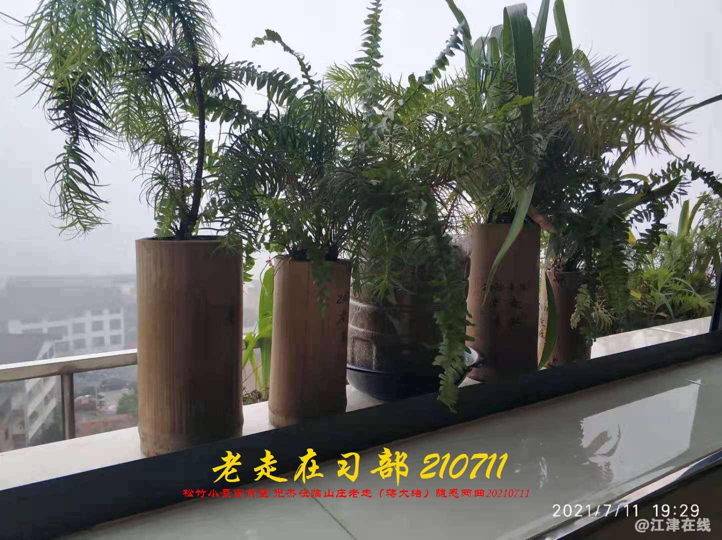 JYZ 20210711 WBQ (171).jpg