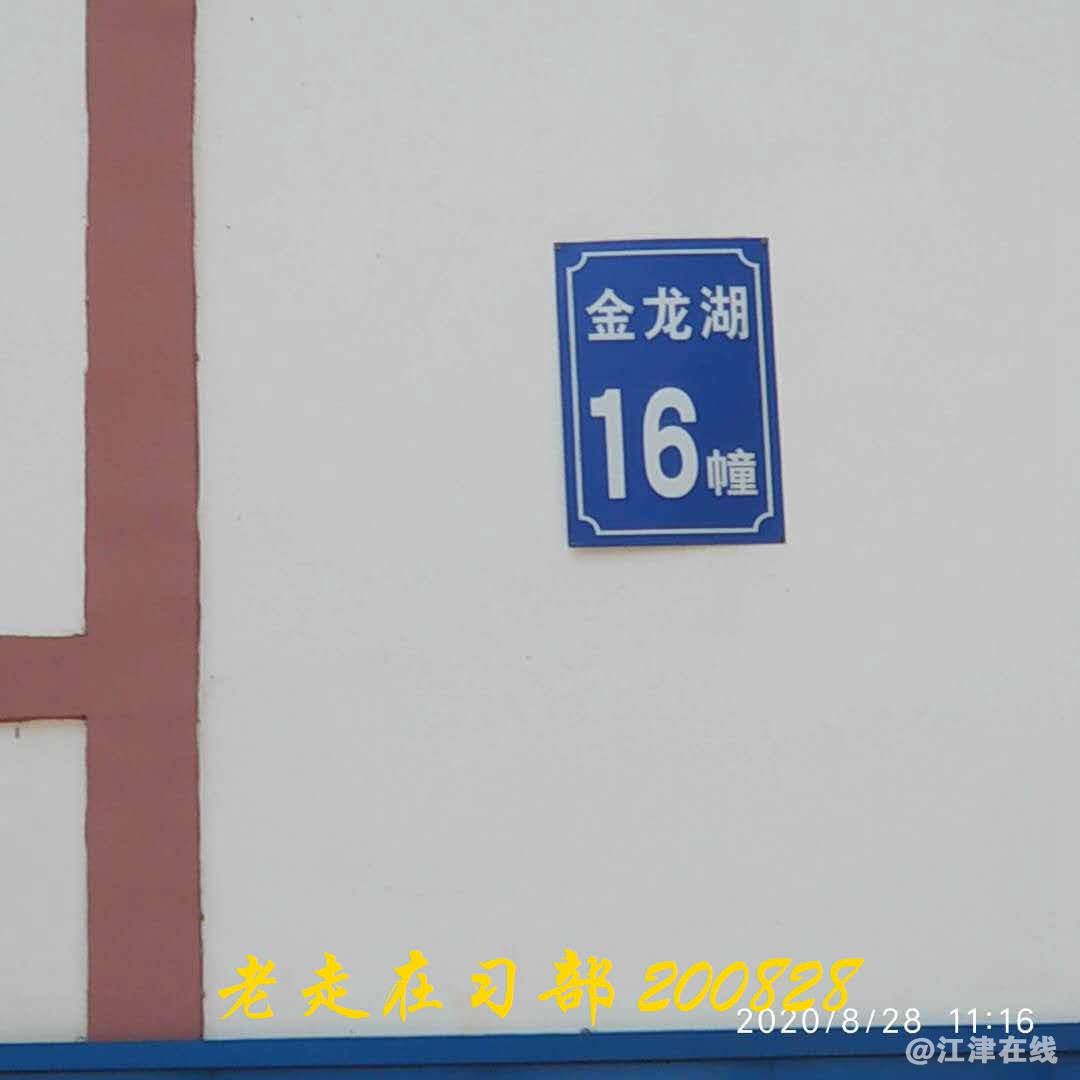 JYZ 20200828 WYB (98).jpg