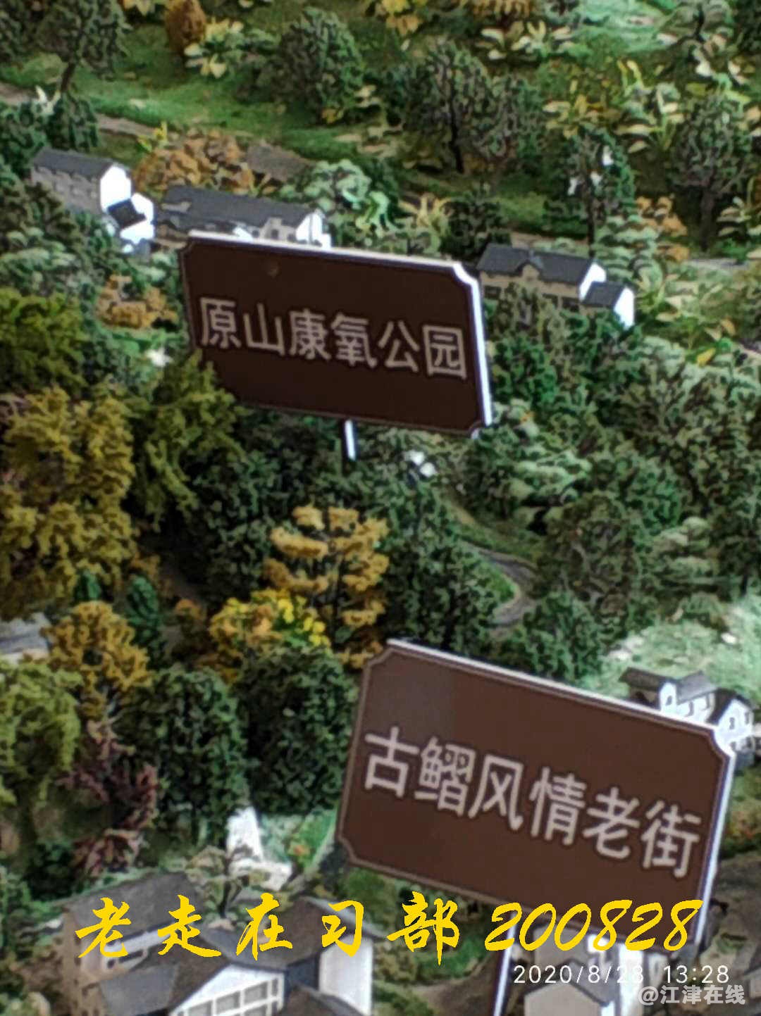 JYZ 20200828 WYB (143).jpg