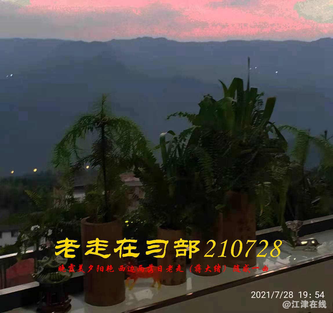 JYZ 20210728 WBQ (12).jpg