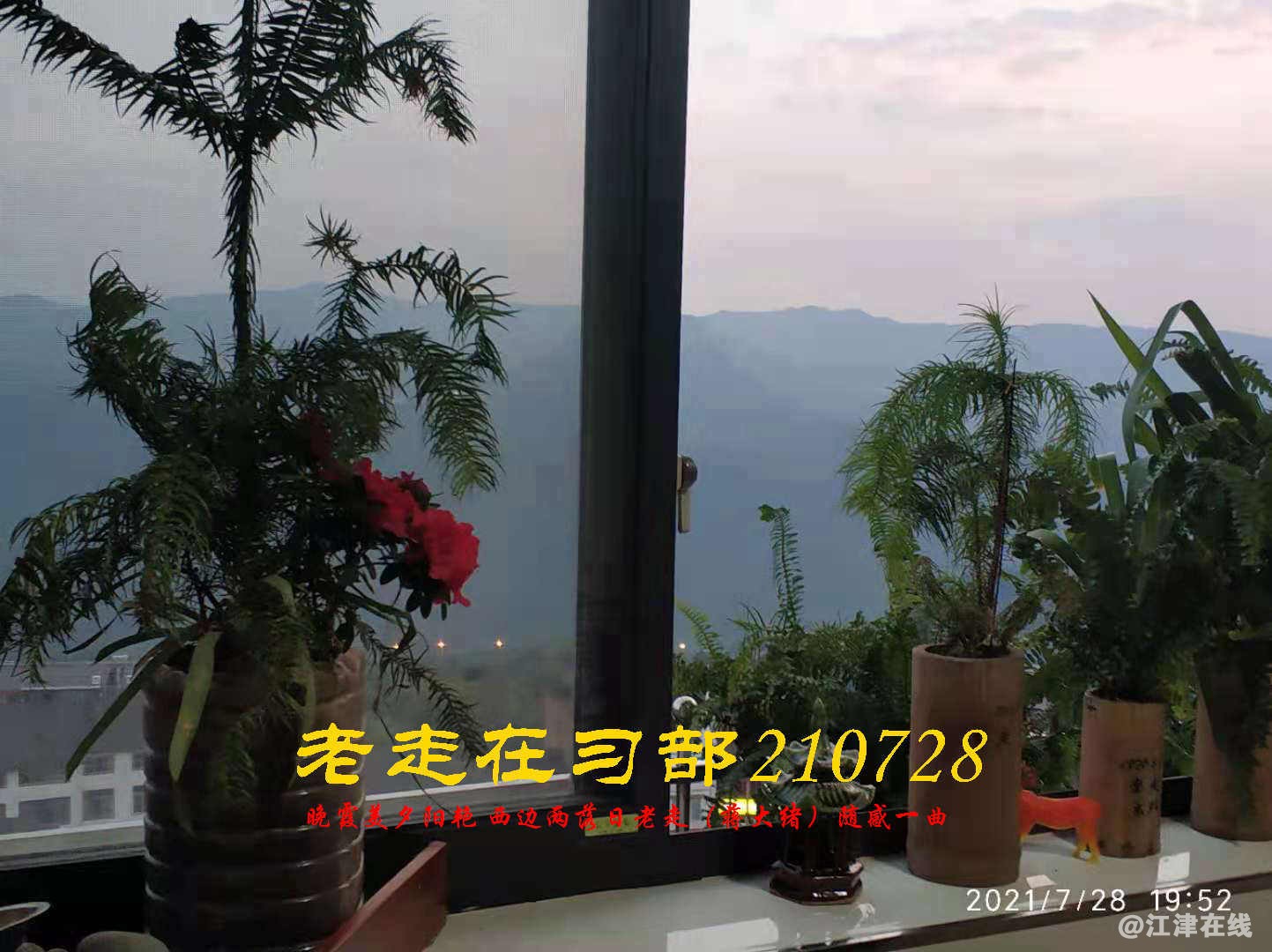 JYZ 20210728 WBQ (15).jpg