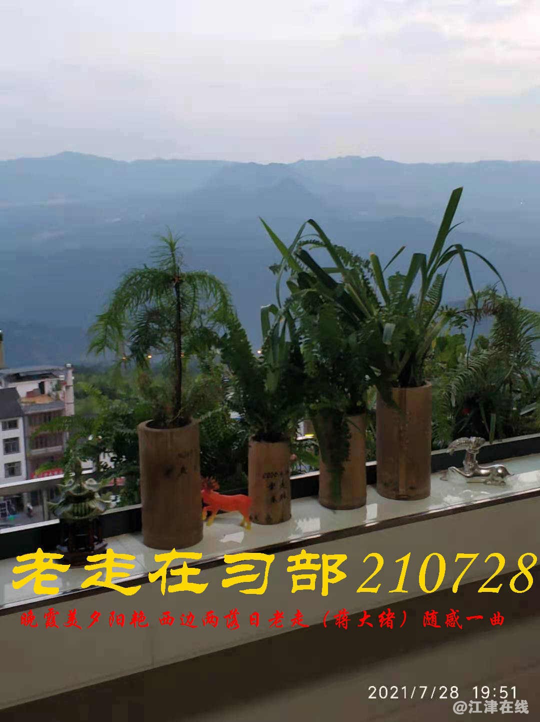 JYZ 20210728 WBQ (20).jpg